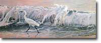 Snowy Egret- Breaking Wave